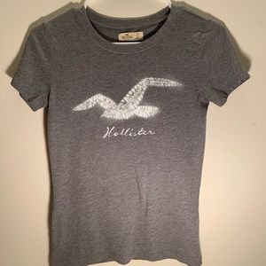 Hollister Short Sleeve Tee